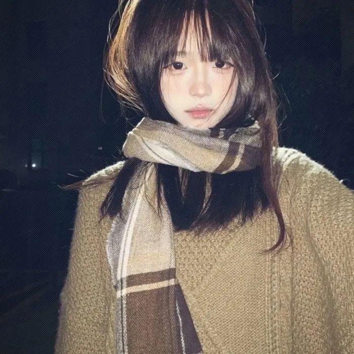 公主复仇者